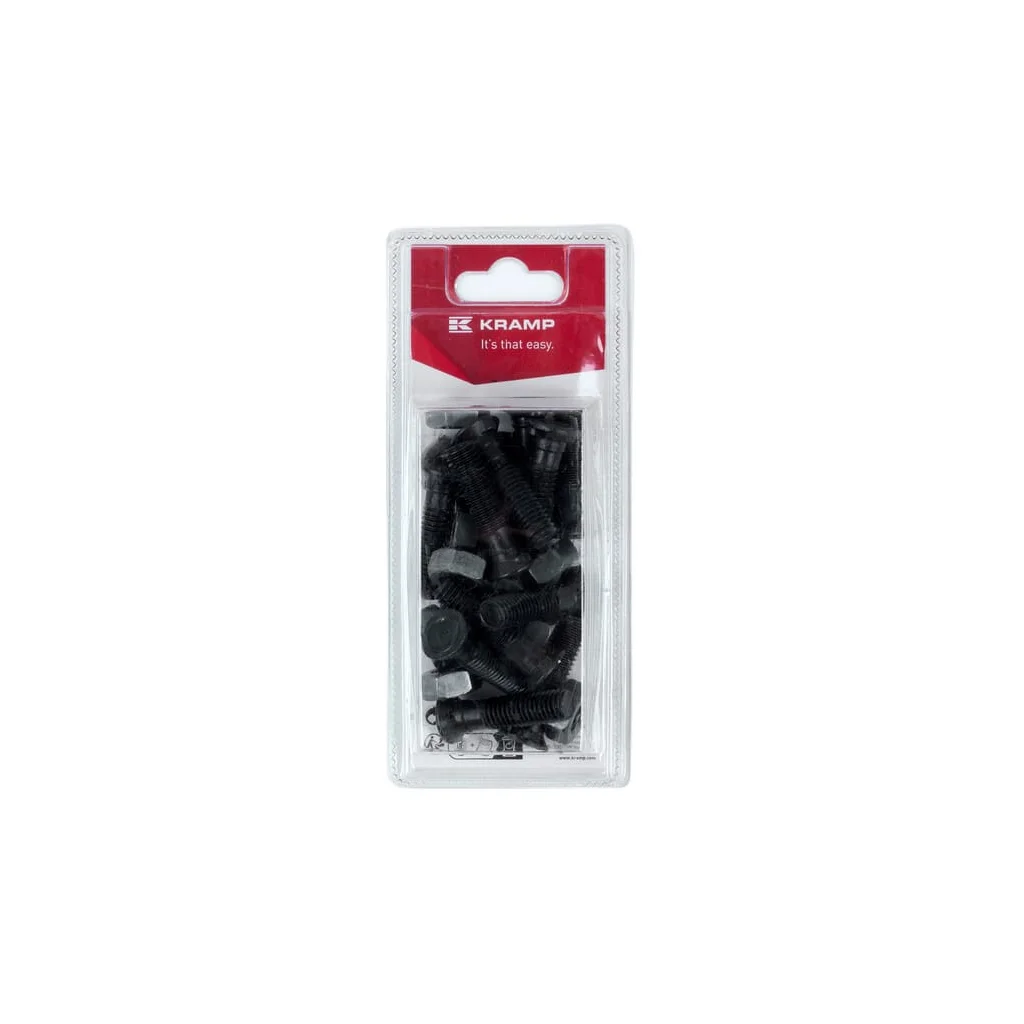 Șurub plug M10 x 40mm, TF2E (12) KR1040COP12B