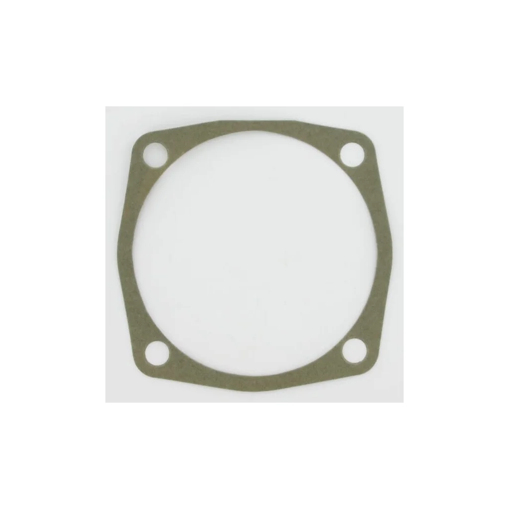 Garnitură 0,3mm Maschio M01110132R