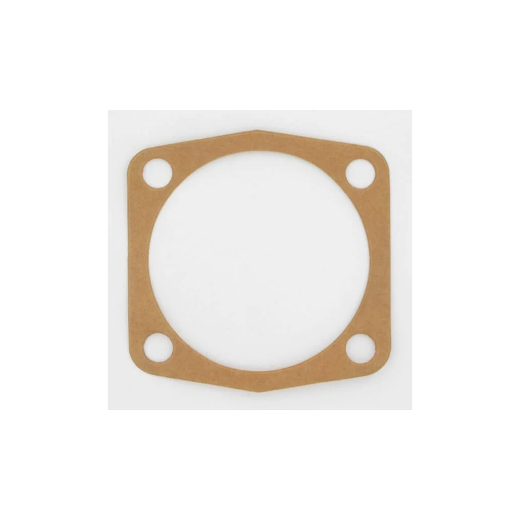 Garnitură 0,3mm Maschio M19100106R