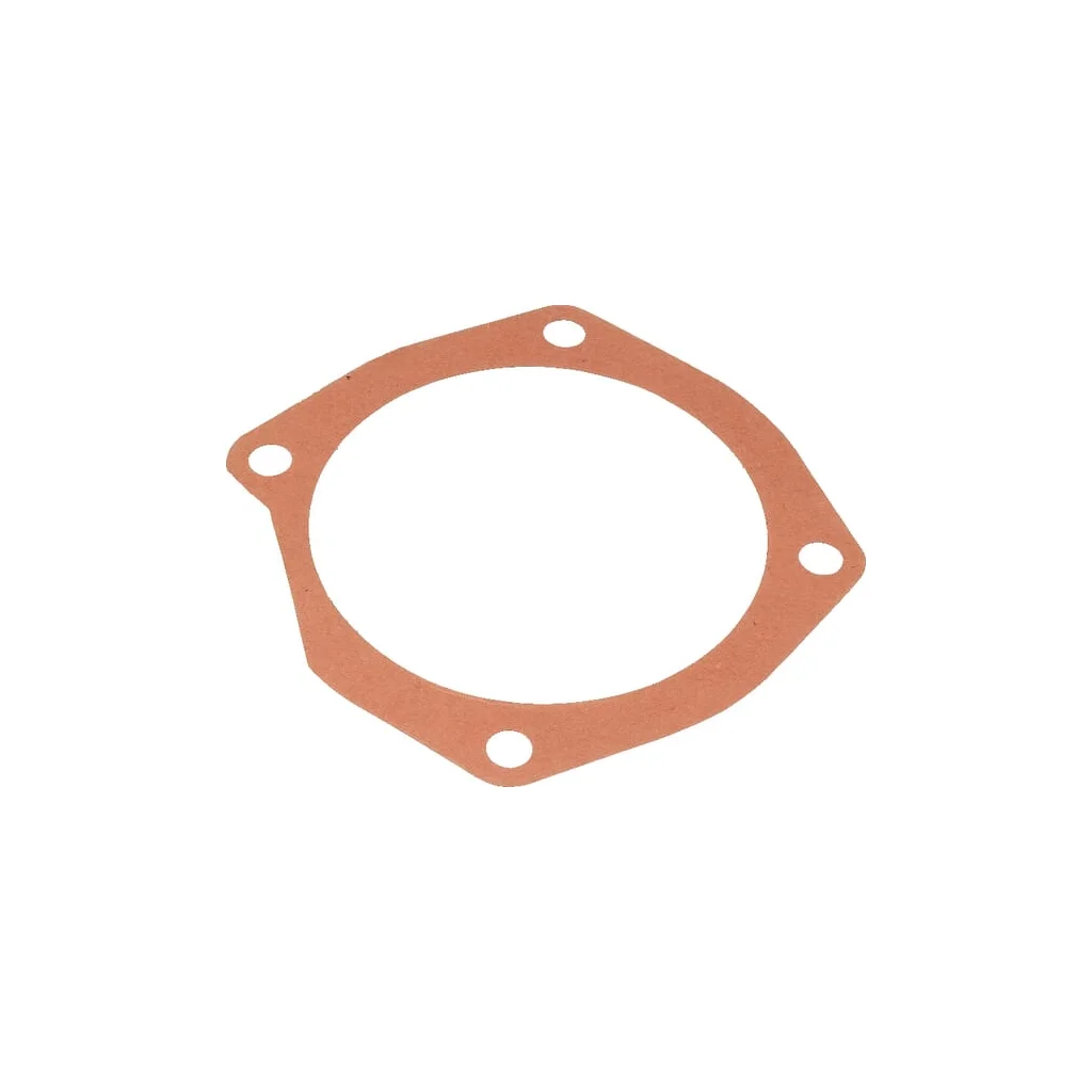 Racord Maschio M10100125R