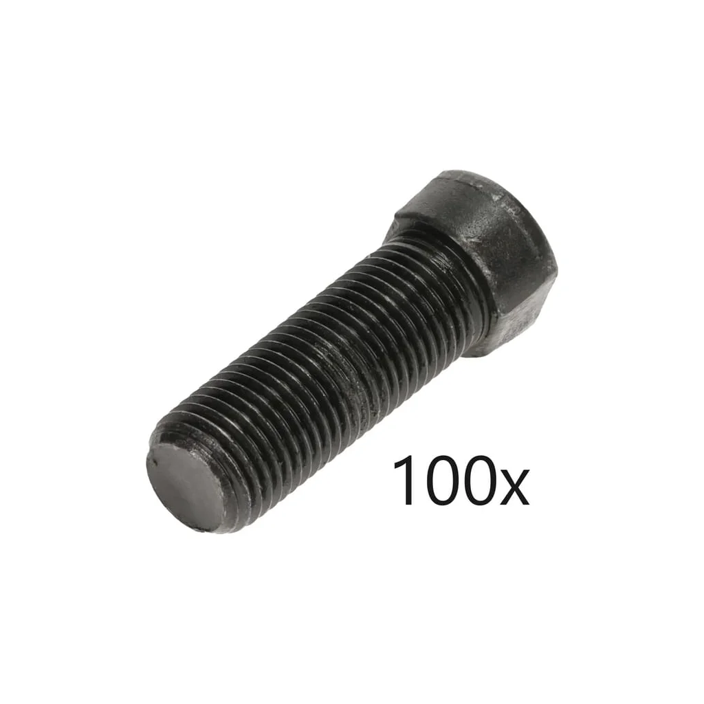 Pachet cu șuruburi 100 buc M12x1,25x40 M1212540109BFEZN