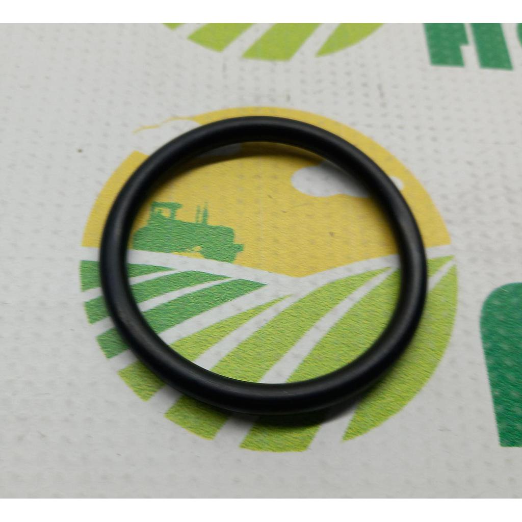 O-Ring 01180277