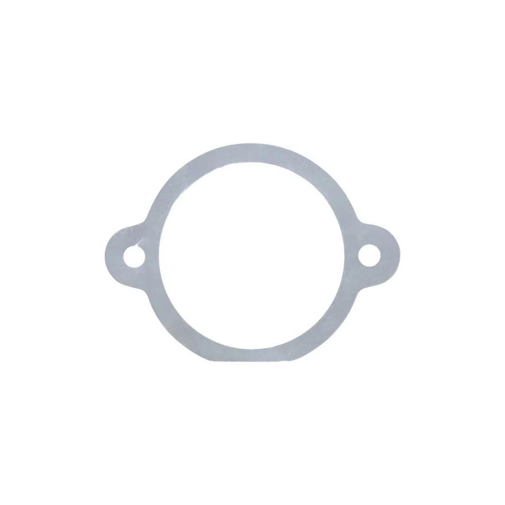 Garnitură 0,05mm Maschio M29100129R