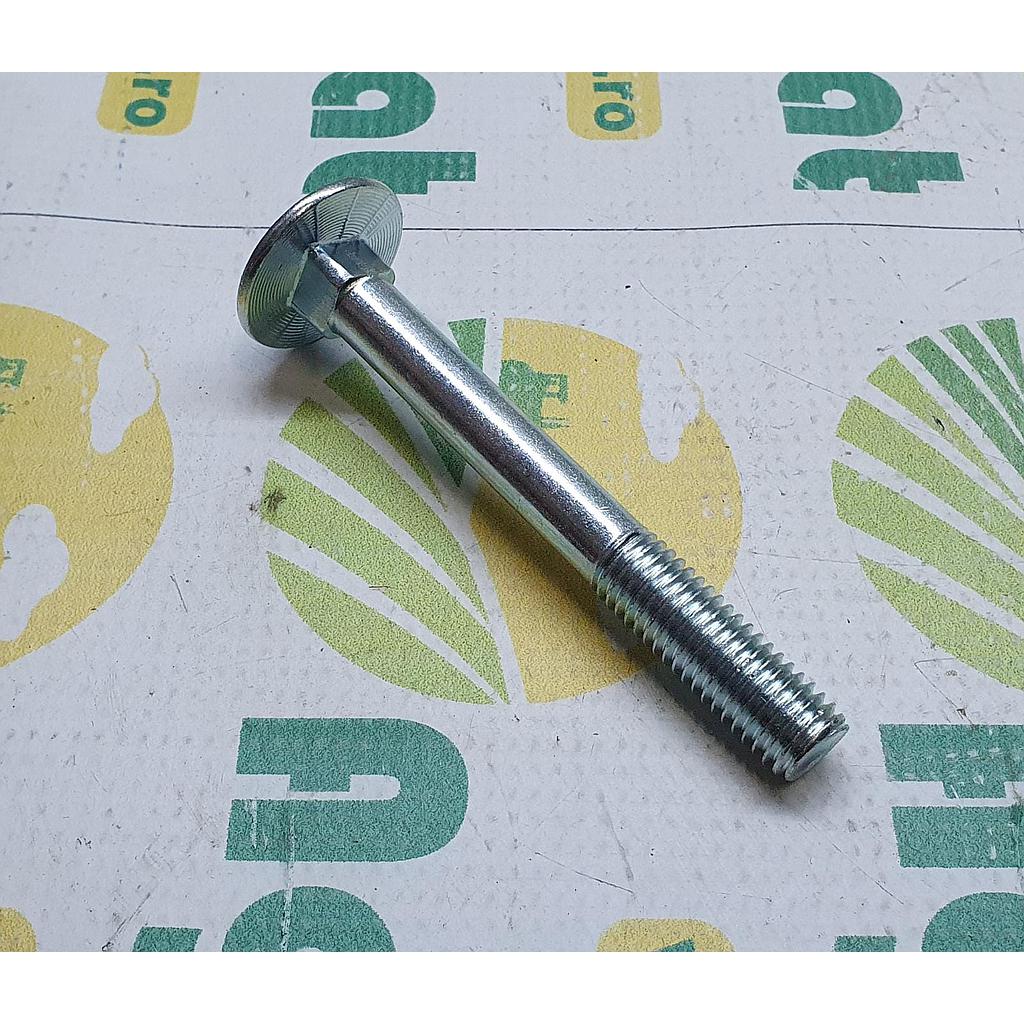 Surub M12x100mm