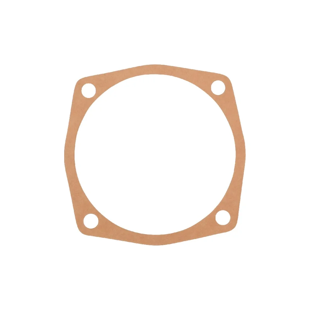 Garnitură 0,5mm Maschio M24100125R