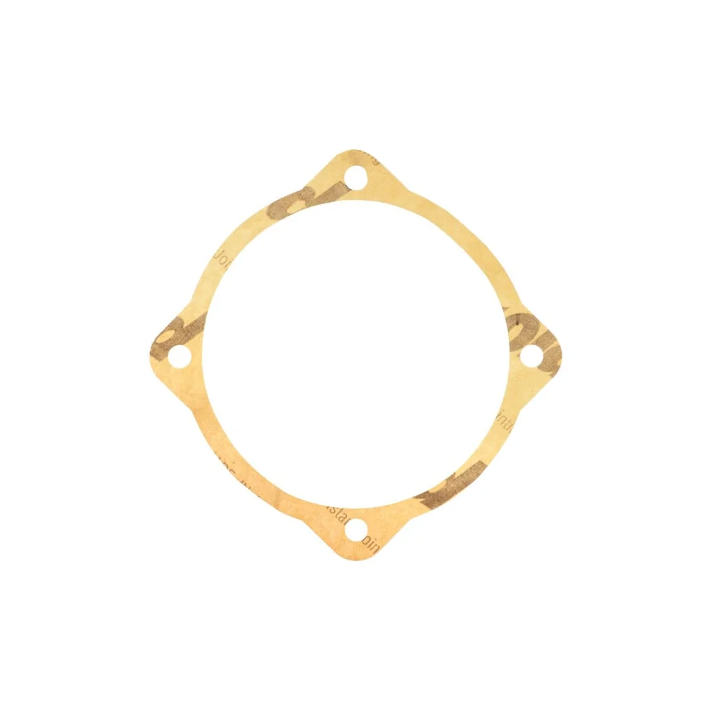 Garnitură 0,1mm Maschio M48000109R