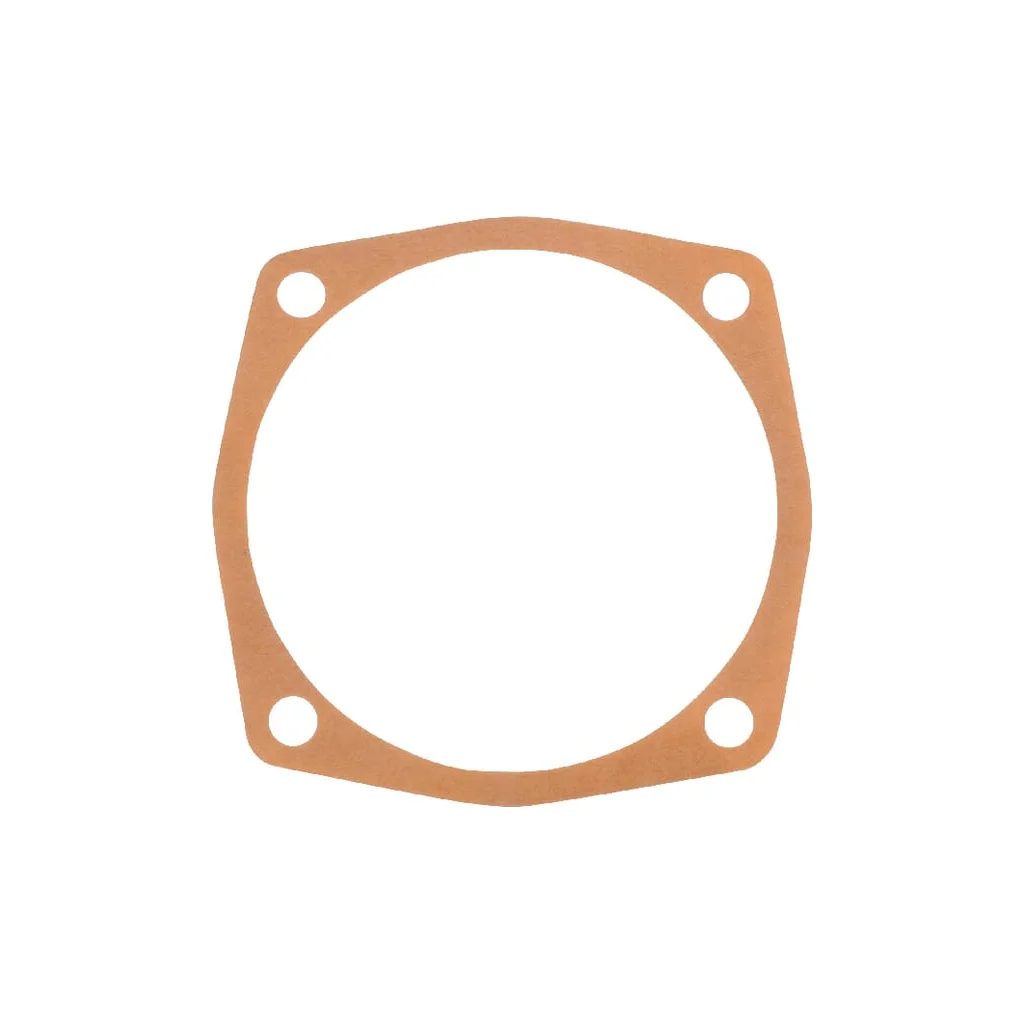 Garnitură 0,1mm Maschio M24100123R