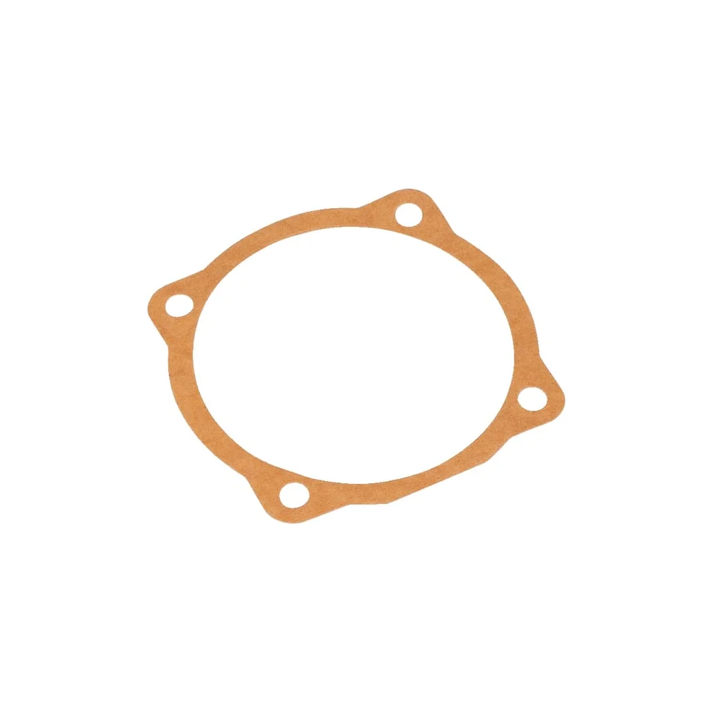 Garnitură 0,1mm Maschio M29100107R