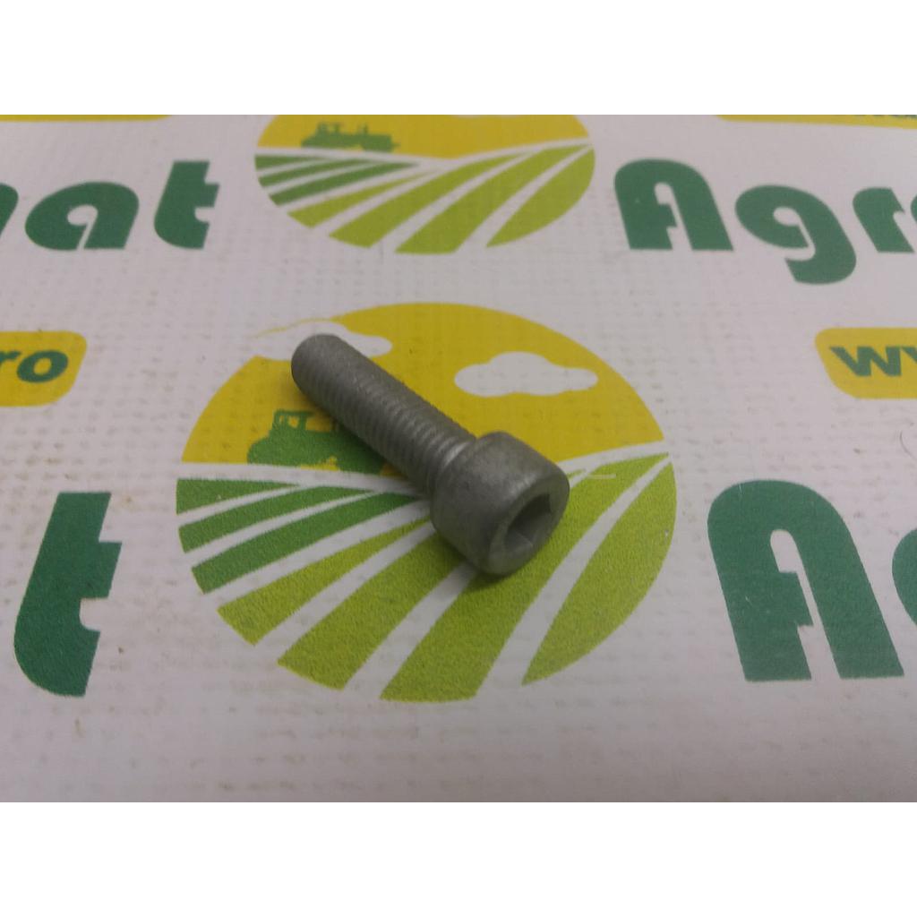 Bolt 01148371