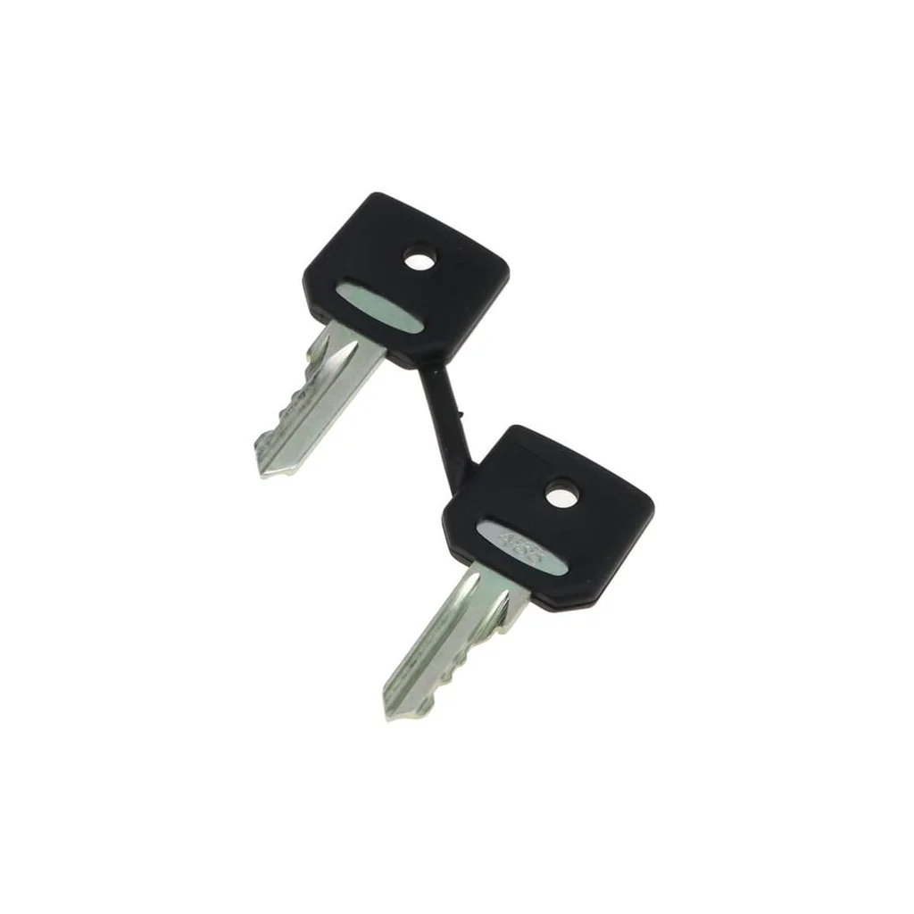 Cheie (set de 2) MA70149