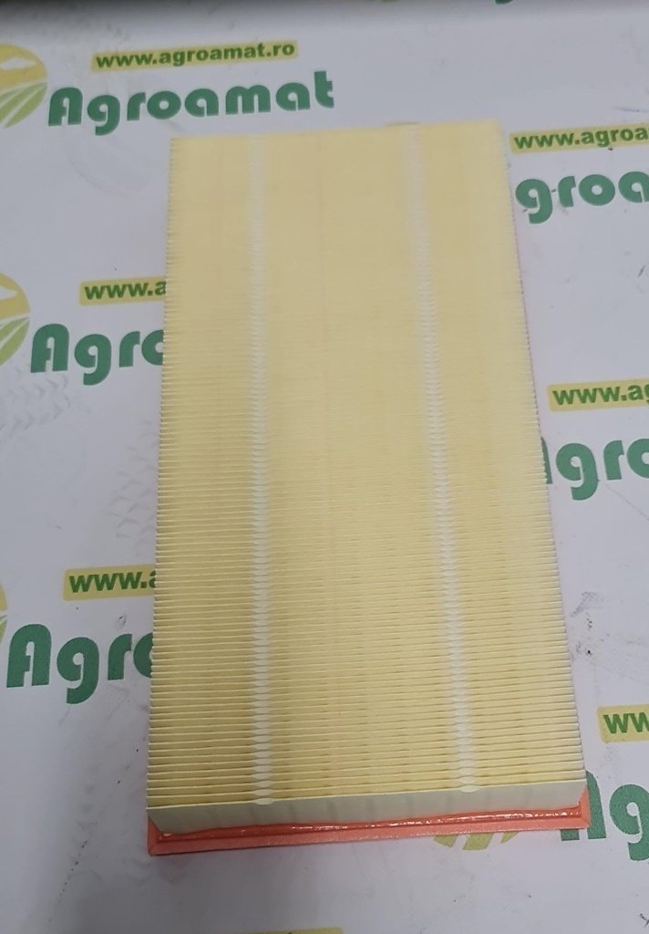 Filtru Aer 10005004
