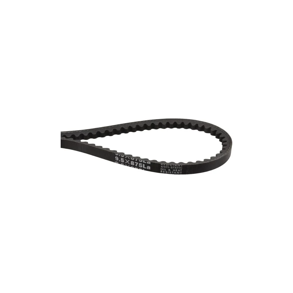 [AMAT2-344668] Curea trapezoidala Mitsuboshi MD030768