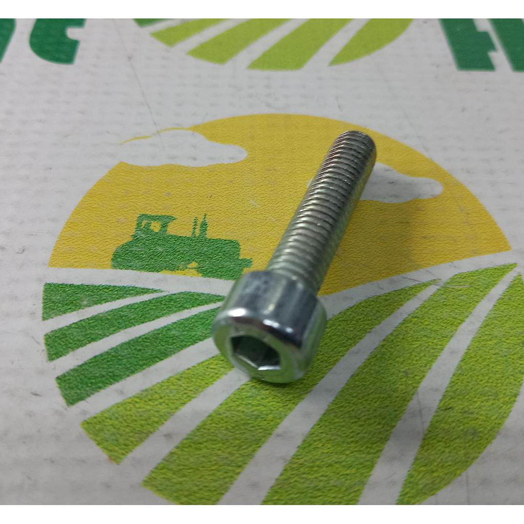 Surub 236983