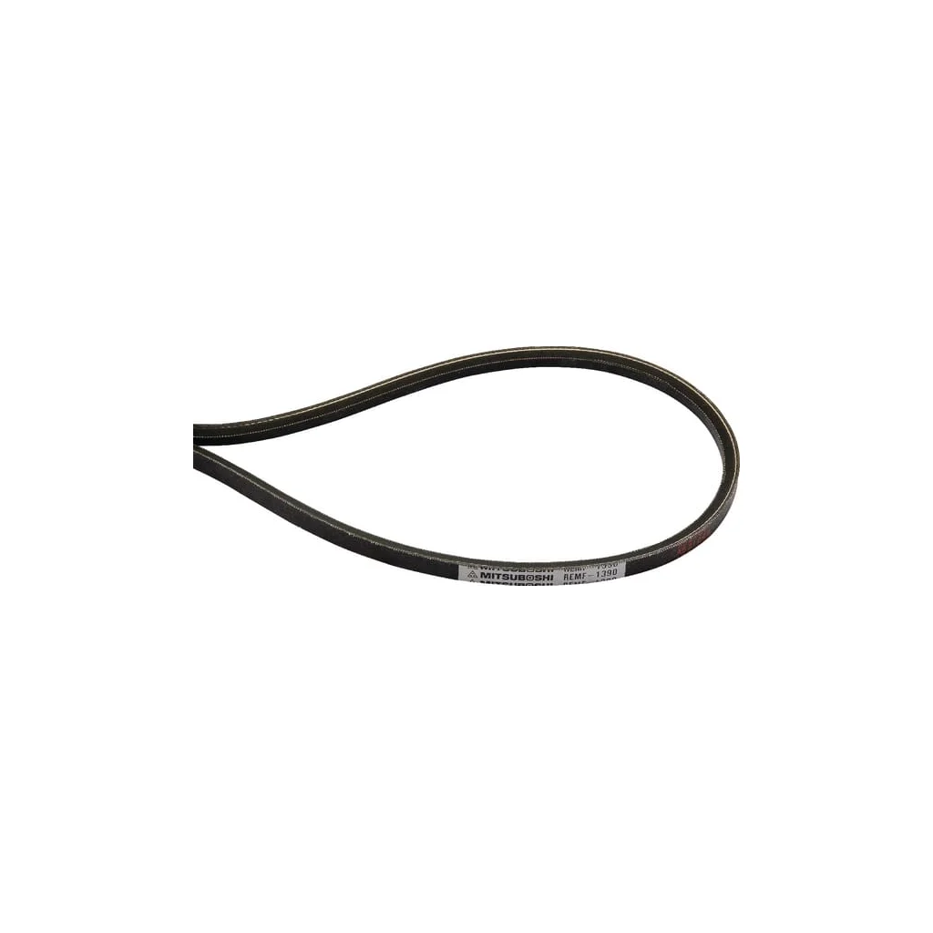[AMAT2-345638] Curea trapezoidala Mitsuboshi MM407440