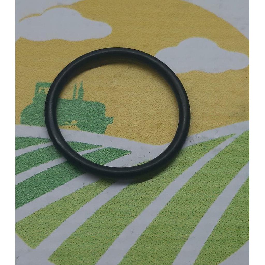 O-Ring 14457980