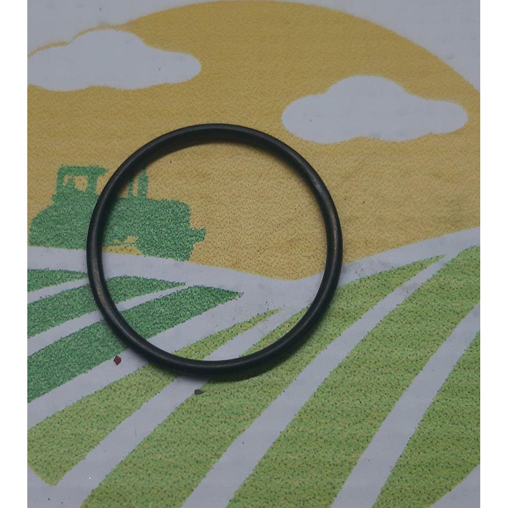 O-Ring 70928346
