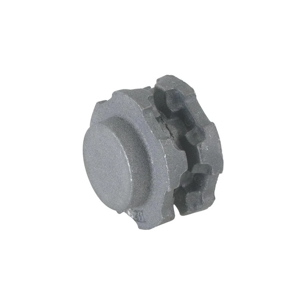 Pinion 8x31 5N fontă NW8315