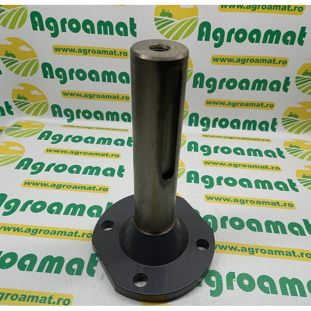Butuc