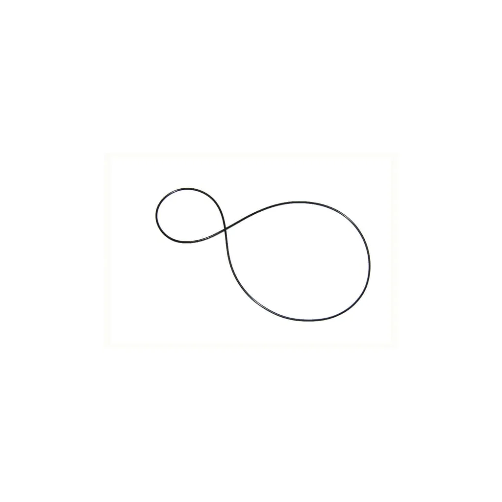 O-ring NWS01135