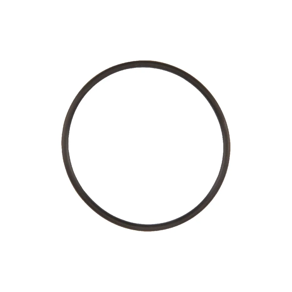 O-ring NWS01587