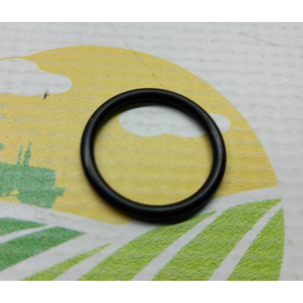 O-Ring 14457681