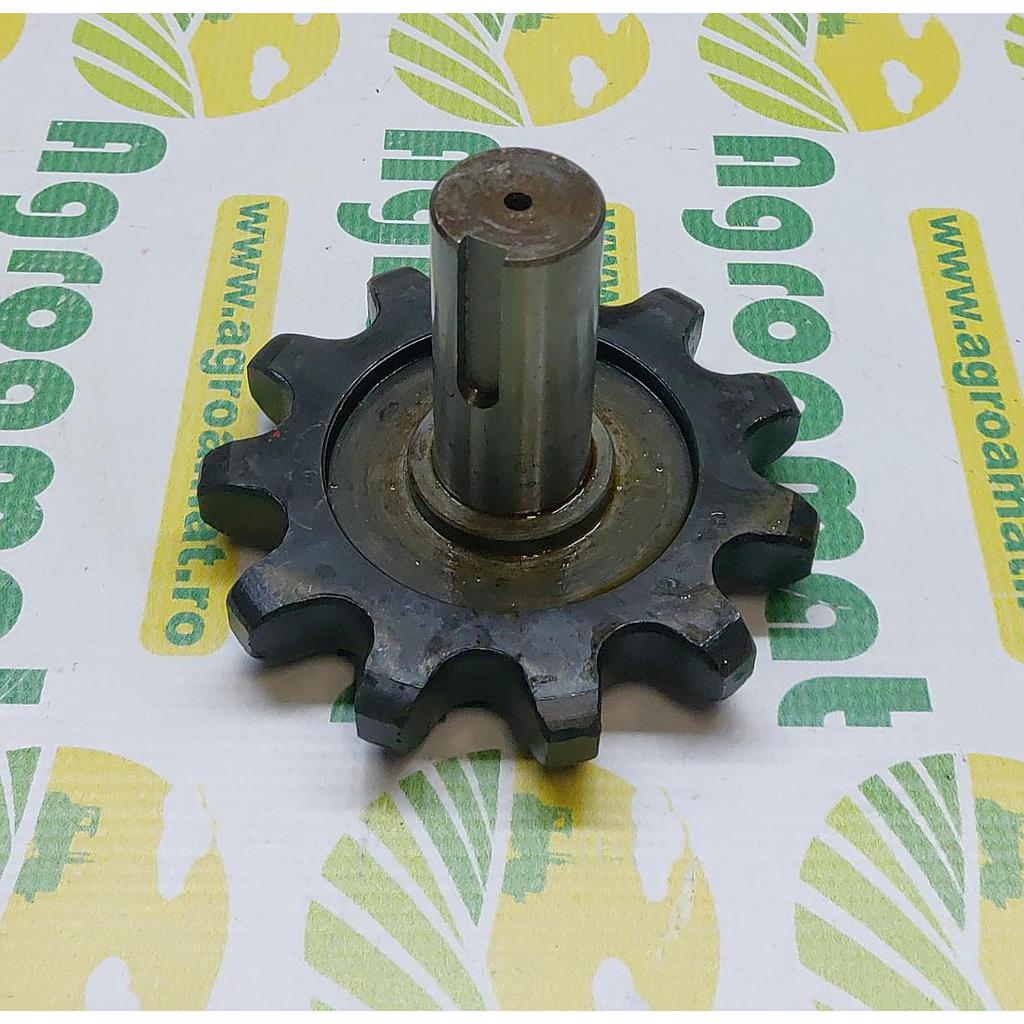 Pinion 1.351.029