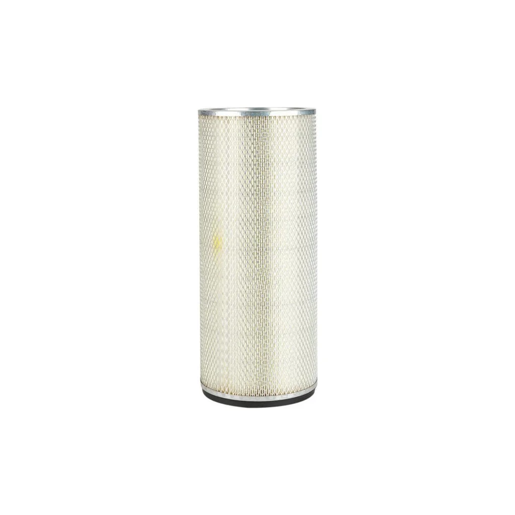 Filtru de aer, protecție P124868