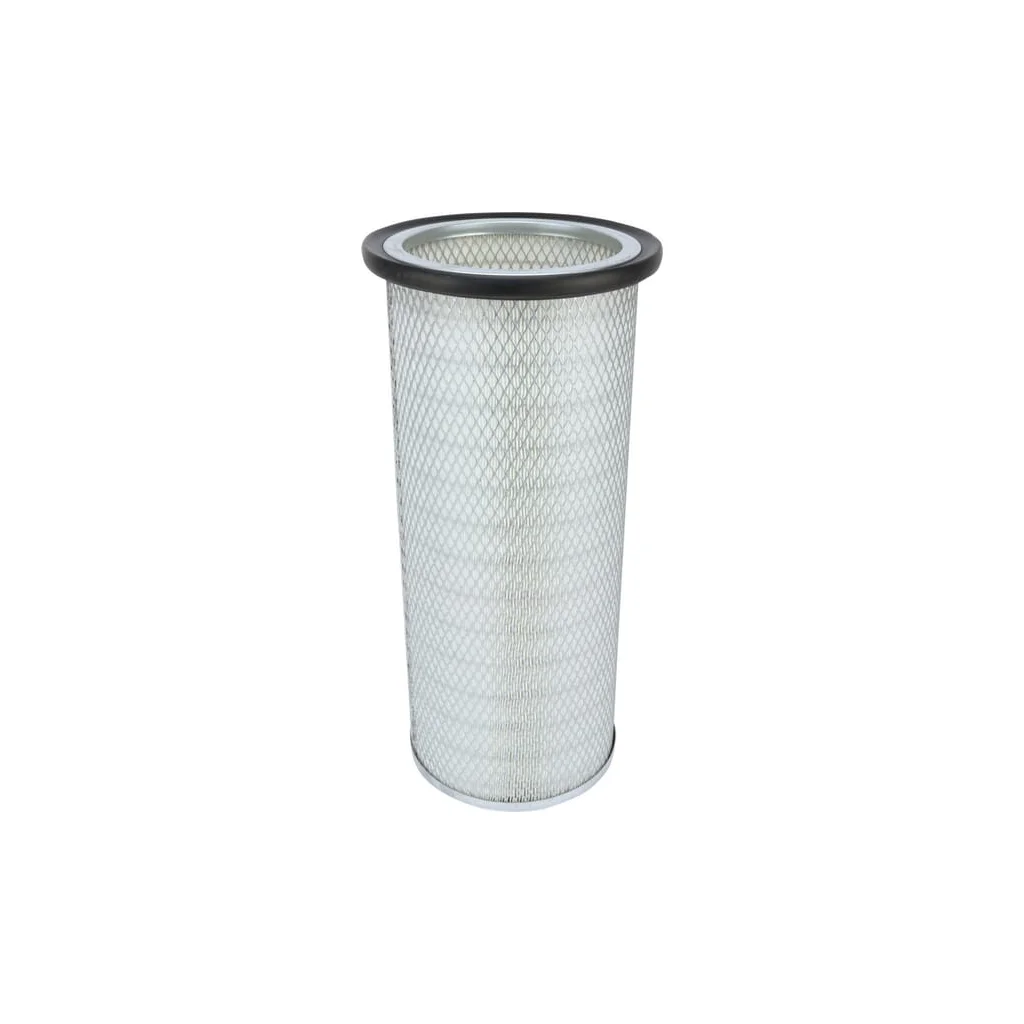 Filtru de aer P119372