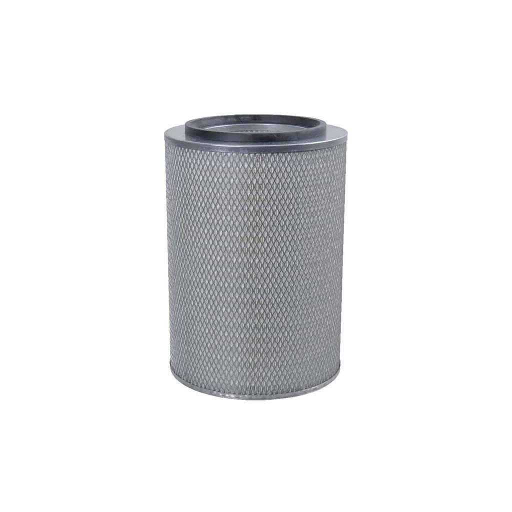 Carcasă filtru aer Donaldson P134353