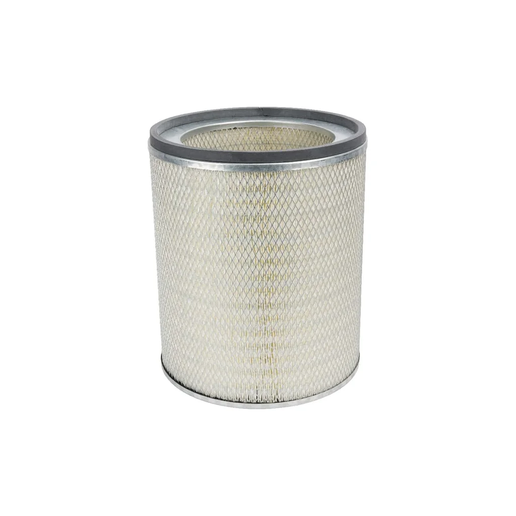 Filtru de aer P181118