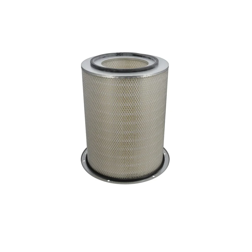 Filtru aer exterior P182099