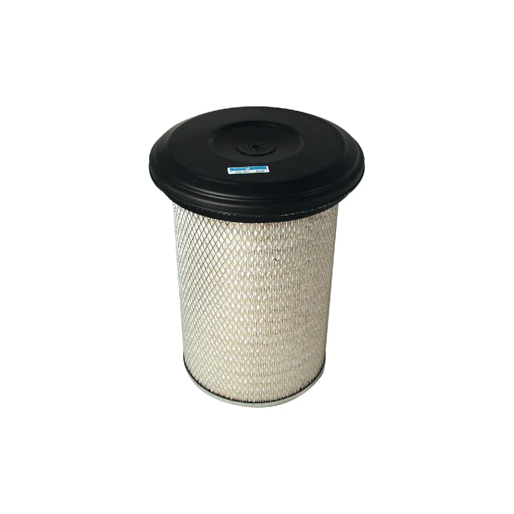 Filtru de aer exterior P181087