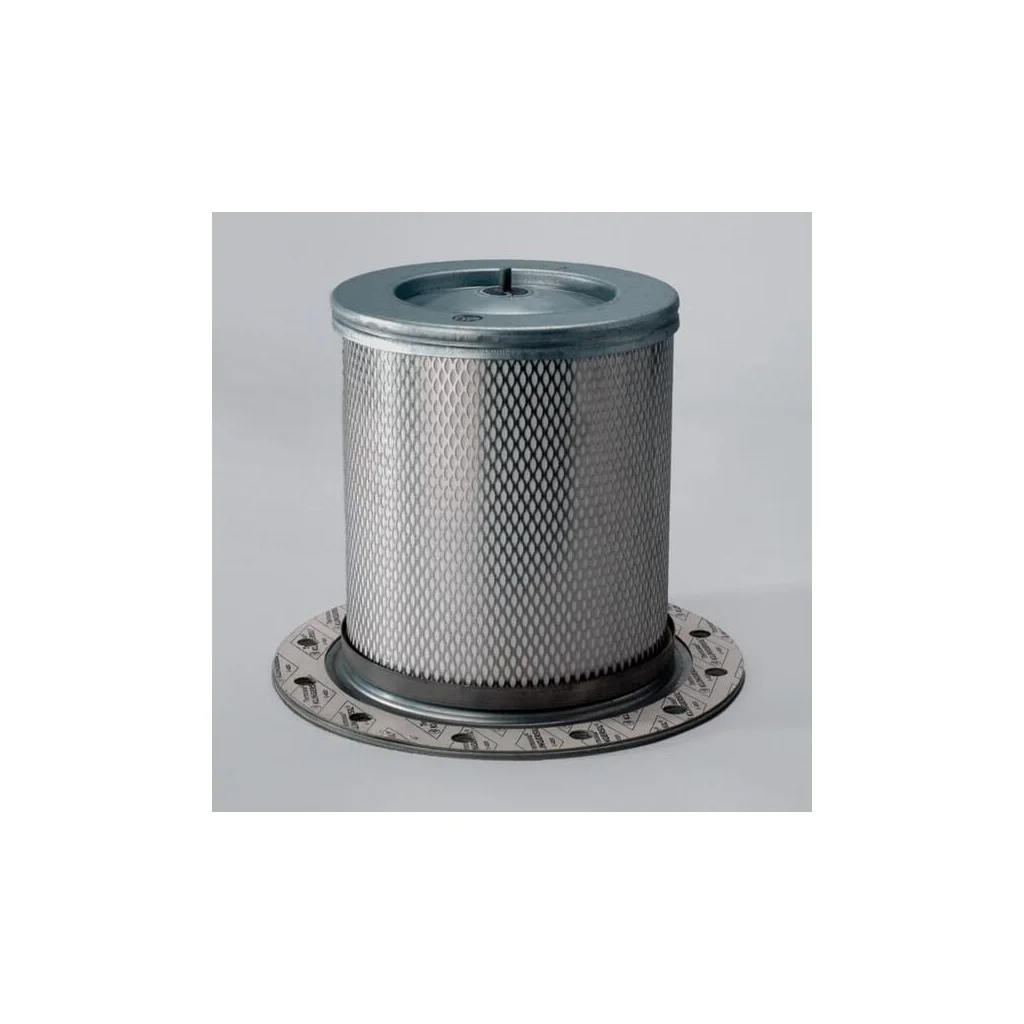 Filtru de aer P525530