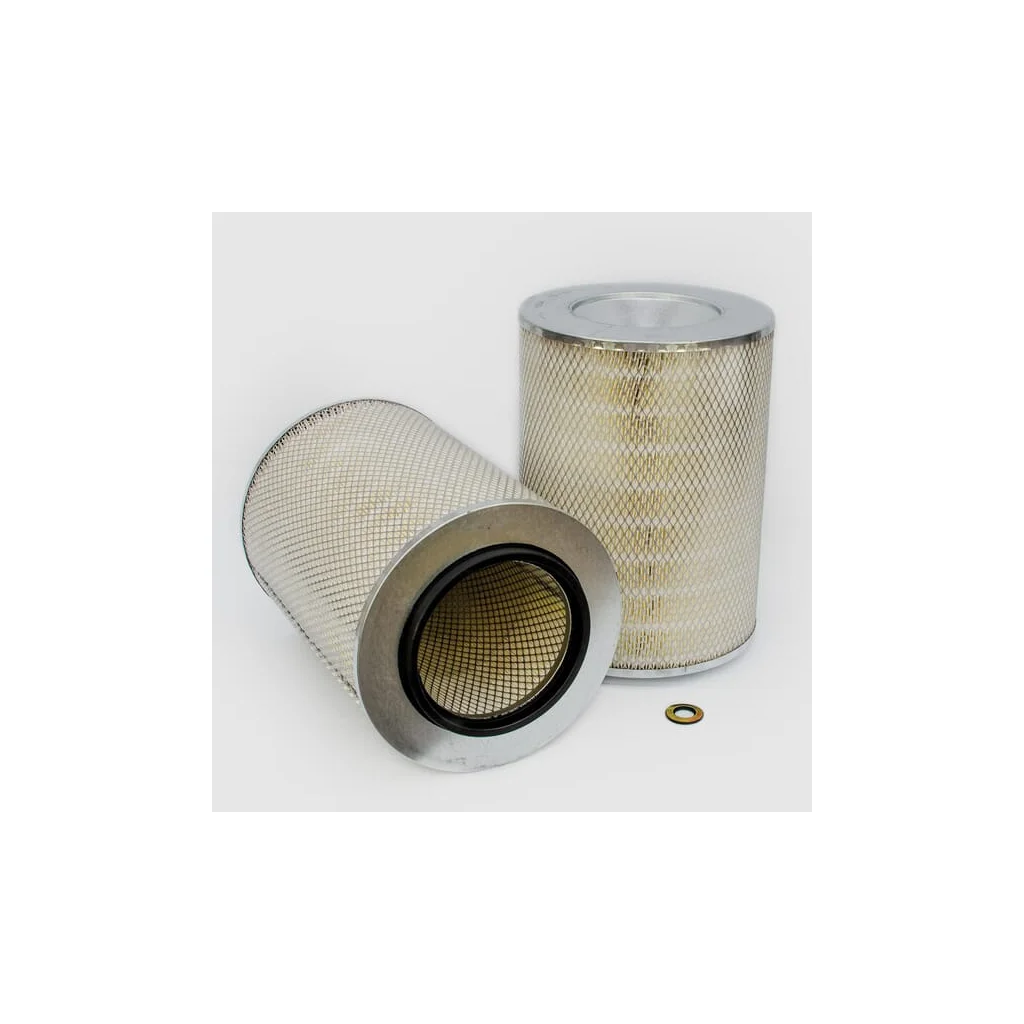 Filtru aer exterior P182044