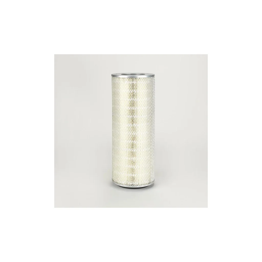 Filtru de aer P181165