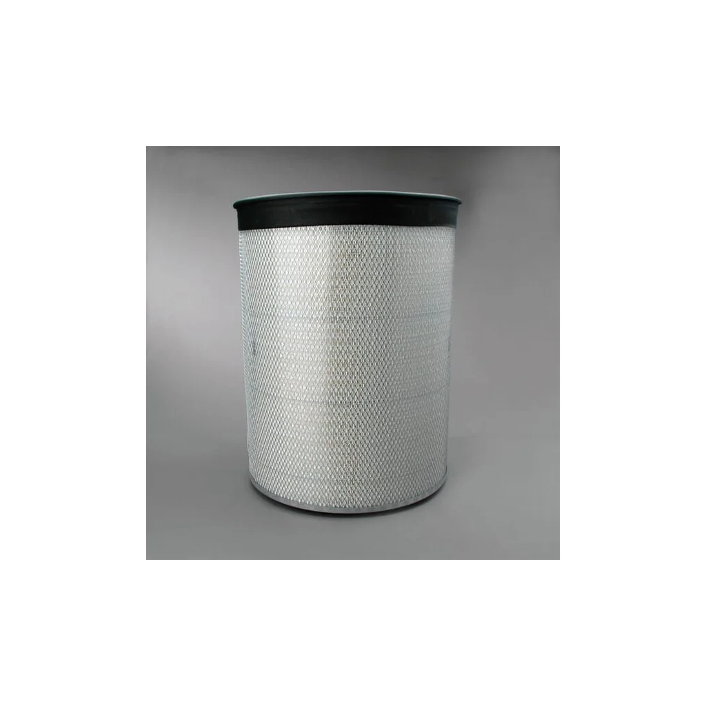 Filtru de aer P182040