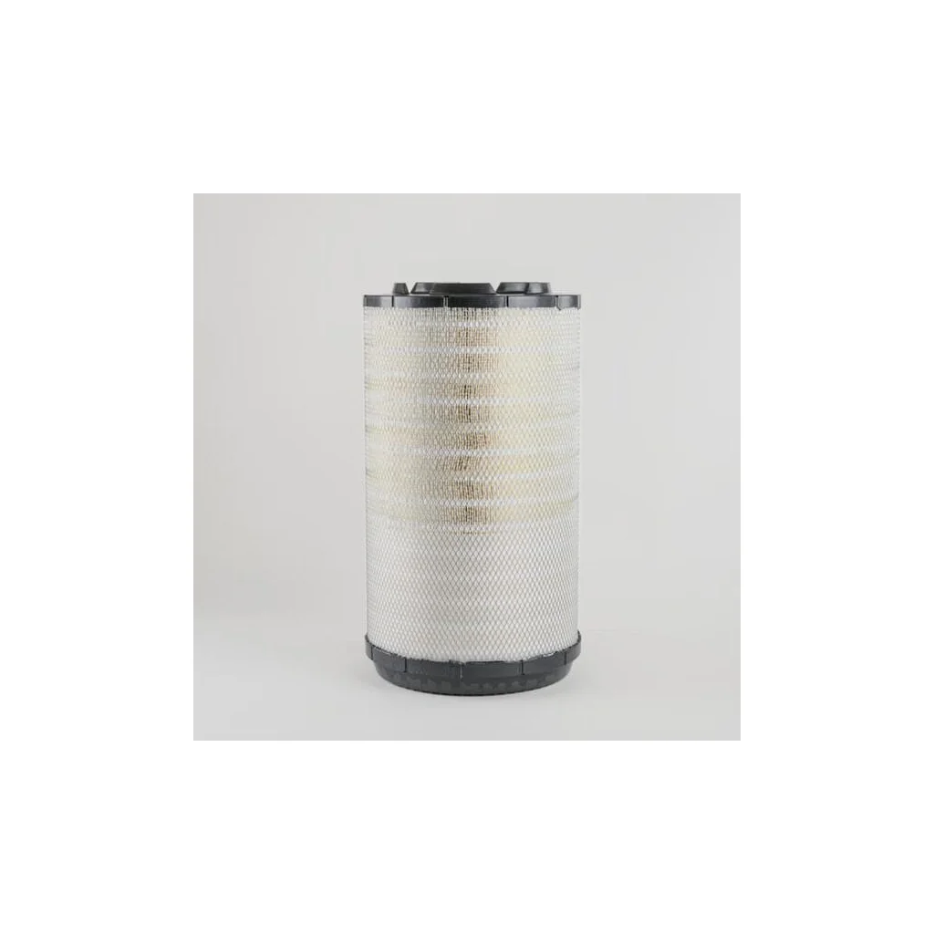 Filtru aer principal P646018