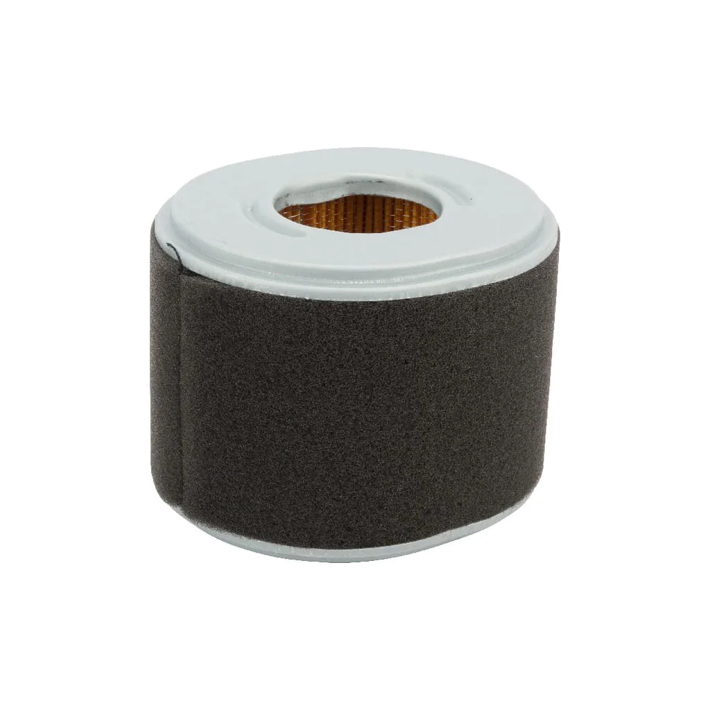 Filtru de aer P607273GJ