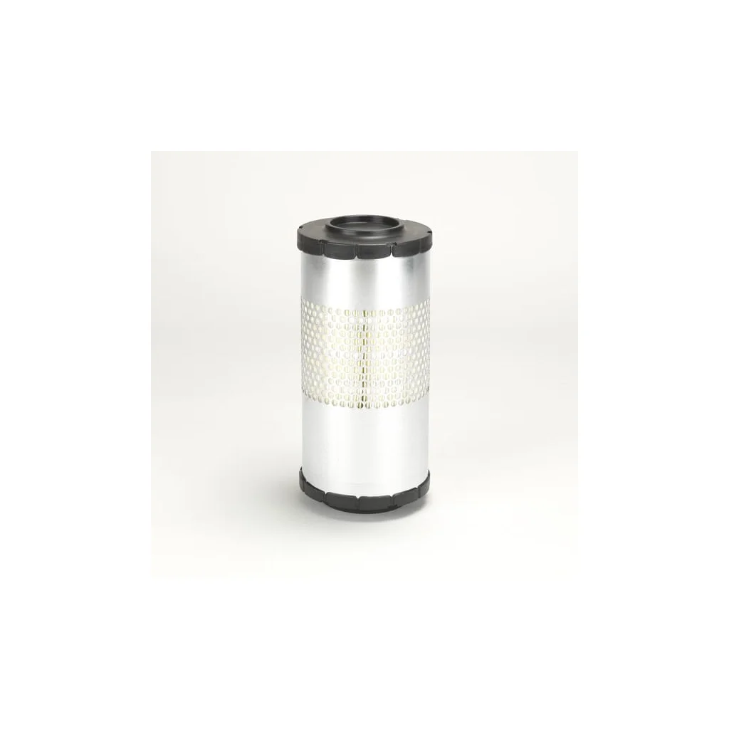Filtru de aer principal P629560