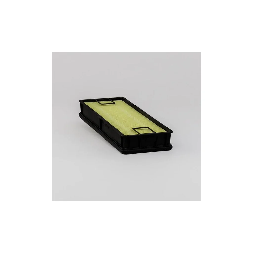 Protecție filtru aer P641539