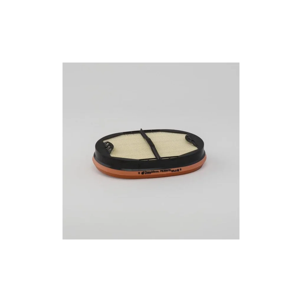 Protecție filtru de aer P635979