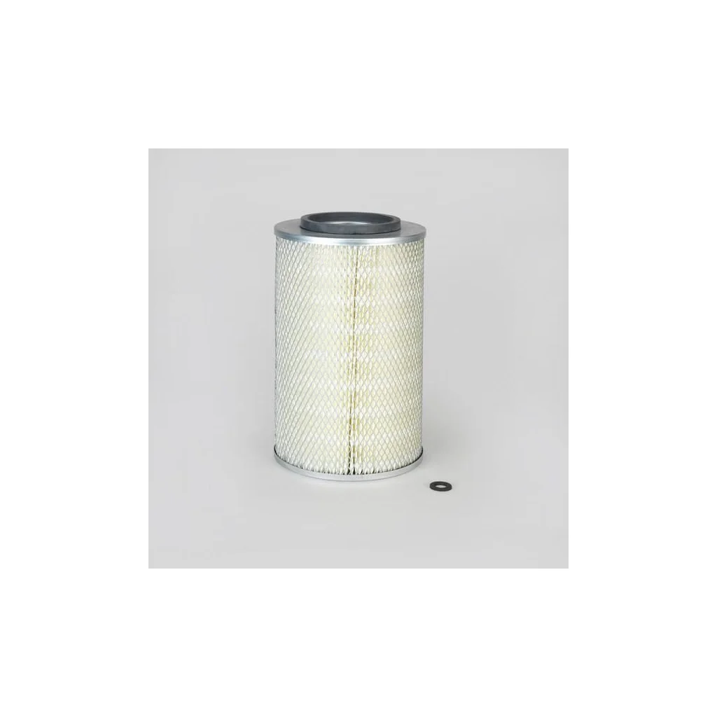 Filtru aer exterior P771502