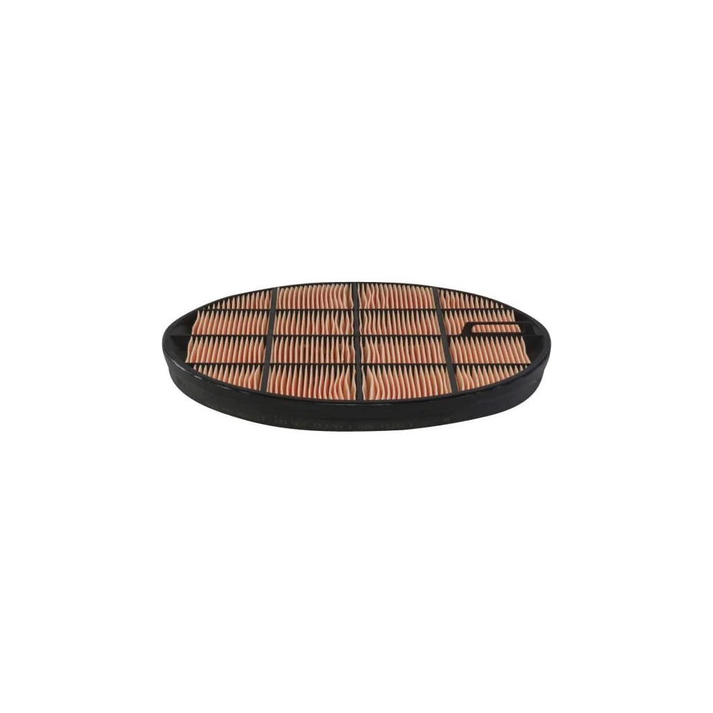Filtru aer P636759