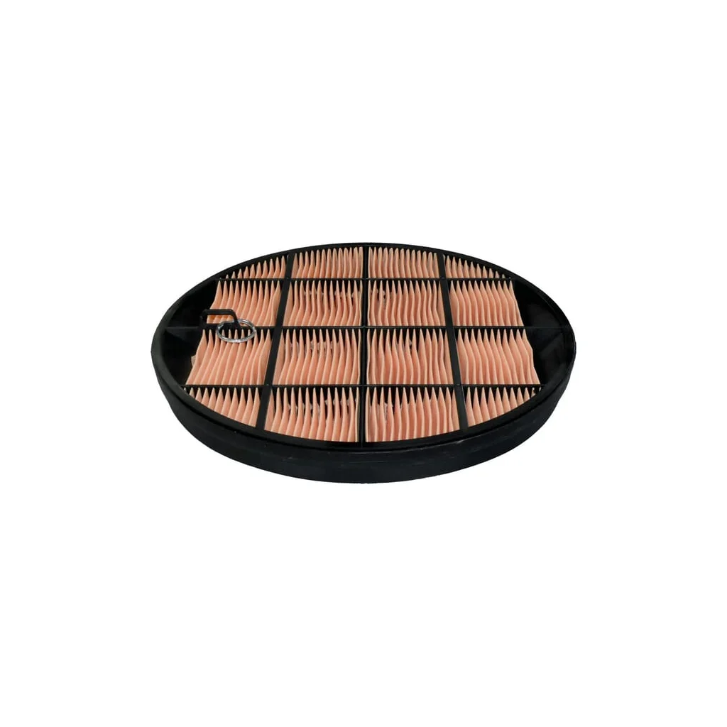 Filtru de aer P631511