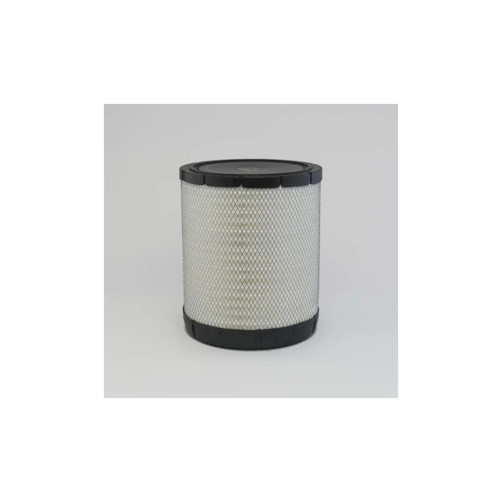 Filtru de aer P635443