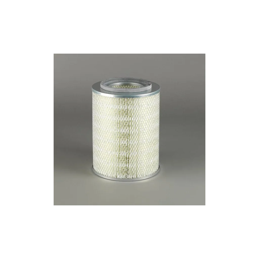 Filtru aer exterior P771516