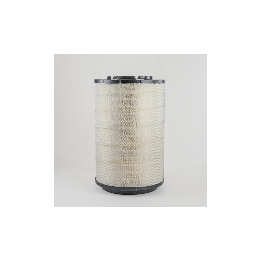 Filtru aer principal P646921