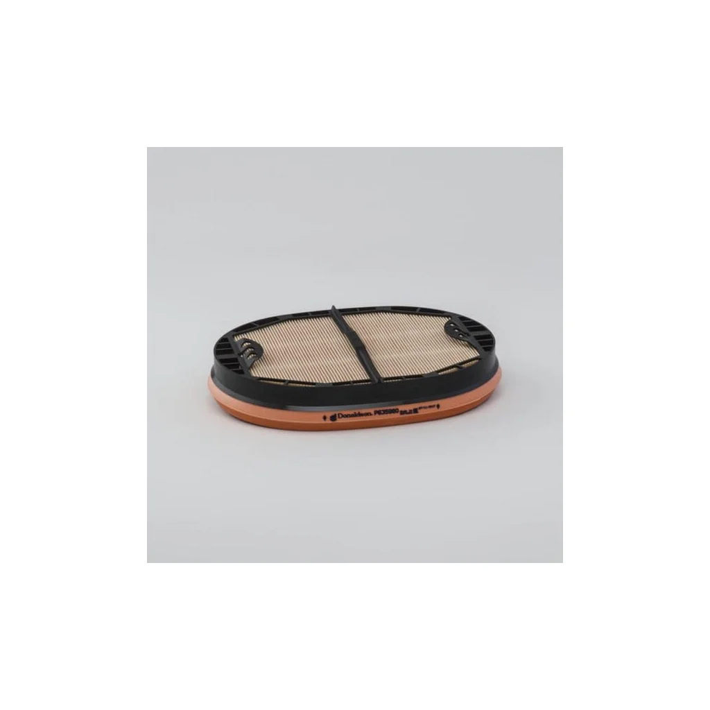Protecție filtru de aer P635980