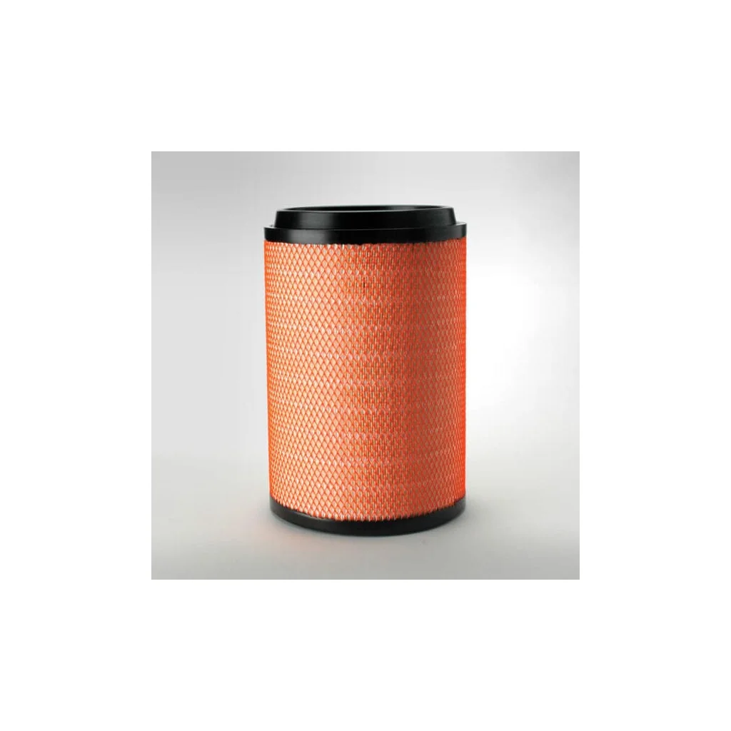 Filtru de aer P781740