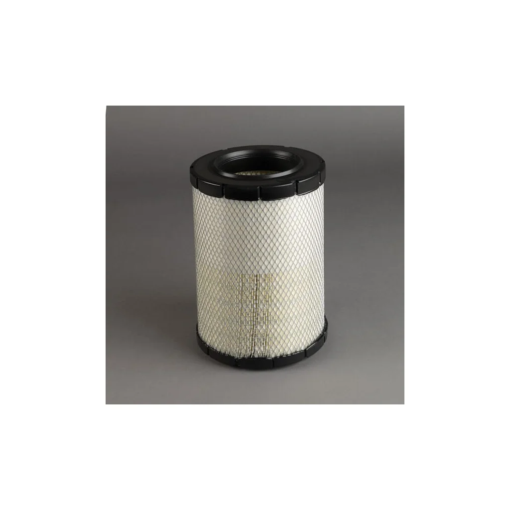 Filtru aer exterior P783871